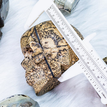 Dendeitic Jasper Skull